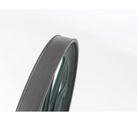 Sierra Cinta Record Power Sabre 300