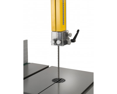 Sierra Cinta Record Power Sabre 350