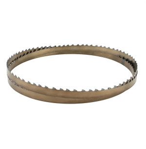 Cinta de recambio 2946 mm x 20 mm