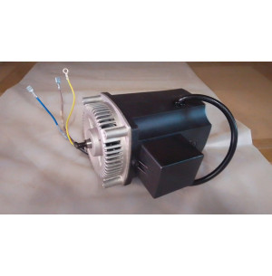 Motor PT200/PT254 1500W escobillas