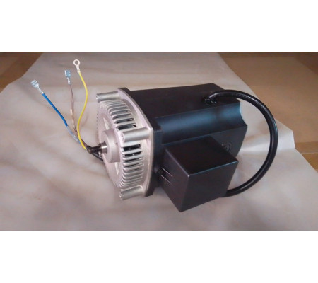 Motor PT200/PT254 1500W escobillas