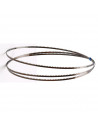 cinta recambio 4115 mm x 6 mm